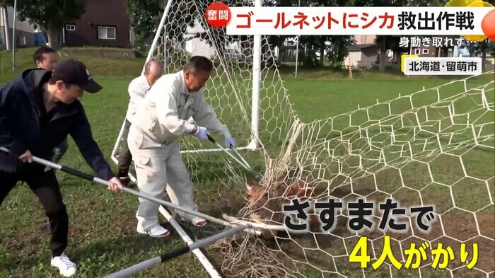 4人がかりで救出する市役所職員
