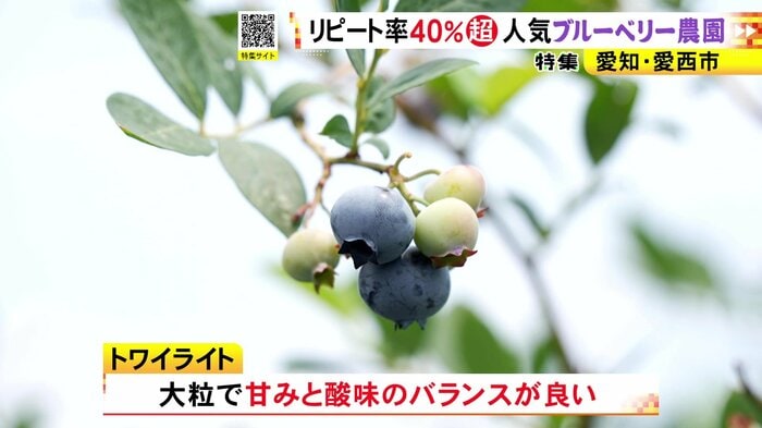 ニュースONE