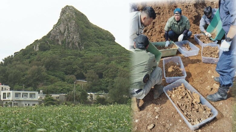 映画ロケ地で見つかった20体分の遺骨　80年経て見つかった遺骨が語る沖縄戦｜FNNプライムオンライン