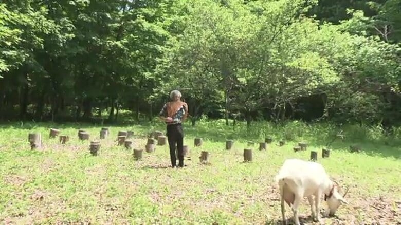 原発事故で全村避難した村　人口増加のカギは芸術家に！　アーティストが移住定住し創作活動　地域の魅力発信で住民帰還や新規移住の促進へ【福島発】｜FNNプライムオンライン