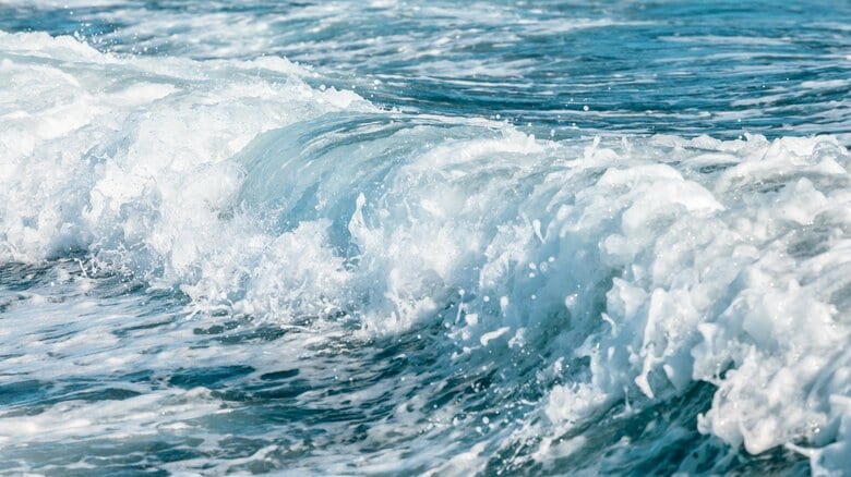 「モーセの海割り」が起きたのはファラオが“損切り”が苦手だったから？聖書の中の“残念な人”から学ぶ損切りの勇気｜FNNプライムオンライン