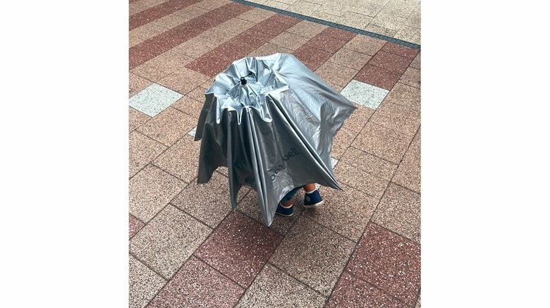 傘に包まれるかのような息子さん