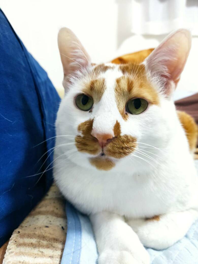 旦那さんに見せる表情（提供：tknさん）