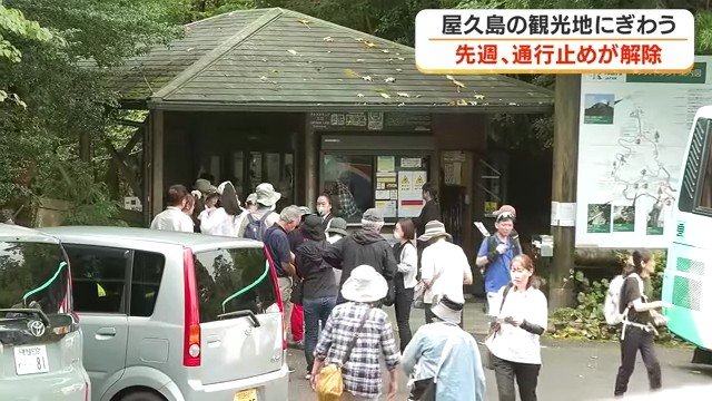 散策に訪れた人々でにぎわう ヤクスギランド