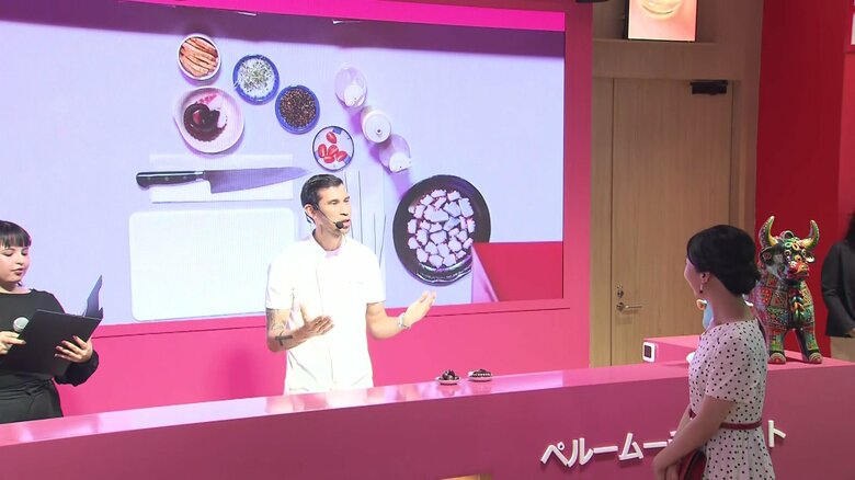 「ペルー館」を視察される佳子さま