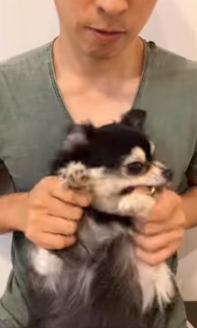 旦那さんの親指にガブリ