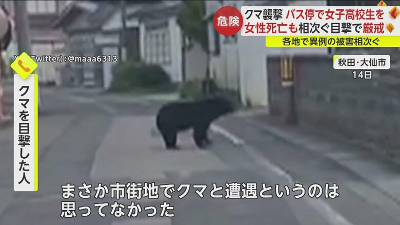 住宅街に現れたクマ。通学路だという（秋田・大仙市　10月14日）
