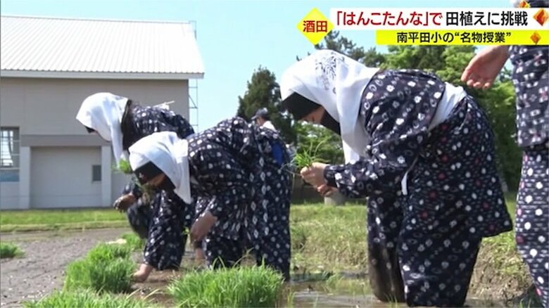 はんこたんな姿で田植えに臨む児童