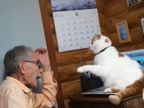 何やらもめているのは… （提供：MARCOさん）