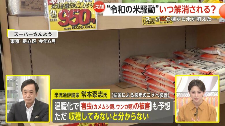 米流通評論家・常本泰志さんによると、来年も「収穫してみないと分からない」という