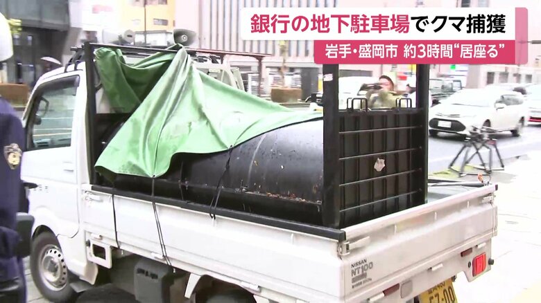 捕獲されたクマを乗せたトラック