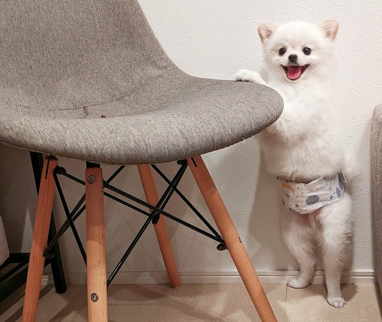 パンツをはいてシャキッ！