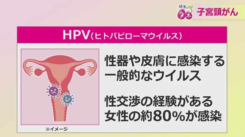 ヒトパピローマウイルス