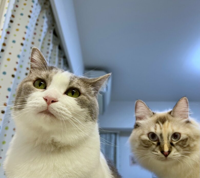 提供：いずもん/まろ様さん