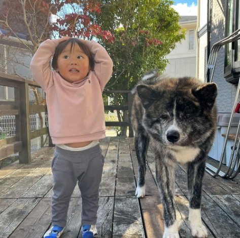 快くんとてんてんくん