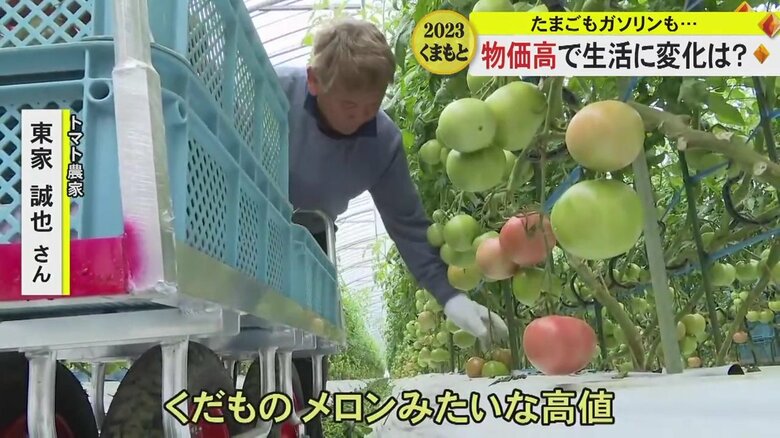 トマト農家の東家さんは
