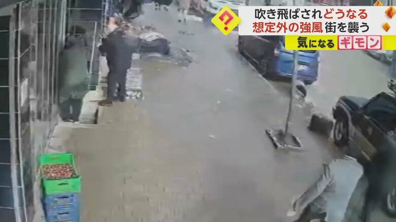 強風にあおられながら、街路樹にしがみつく瞬間②