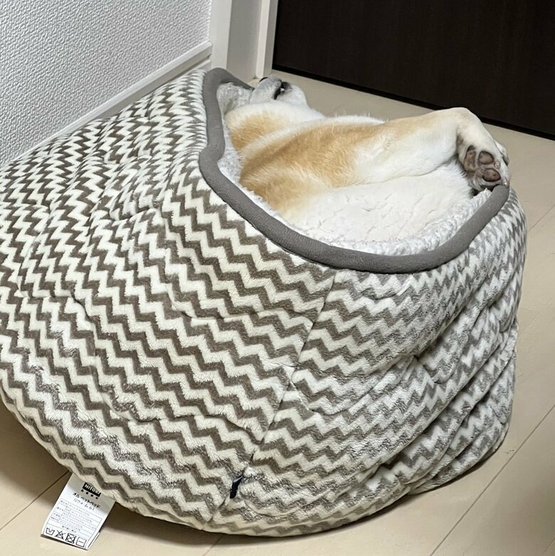 熟睡しすぎて布団の形がすごいことに…