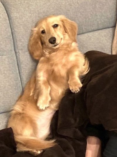 提供：___0516.wanさん