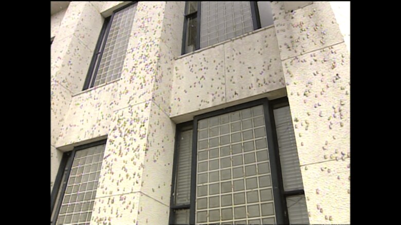 商店街もマイマイガだらけに