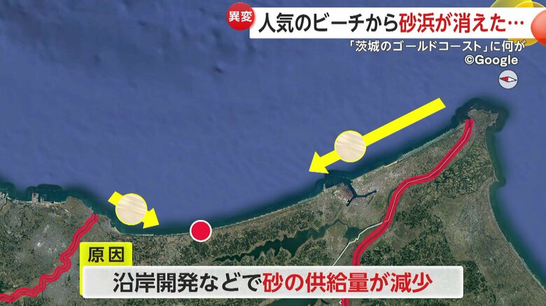 しかし、近年の沿岸開発により砂の供給が減少し、十分に行き渡らなくなったことが原因とみている