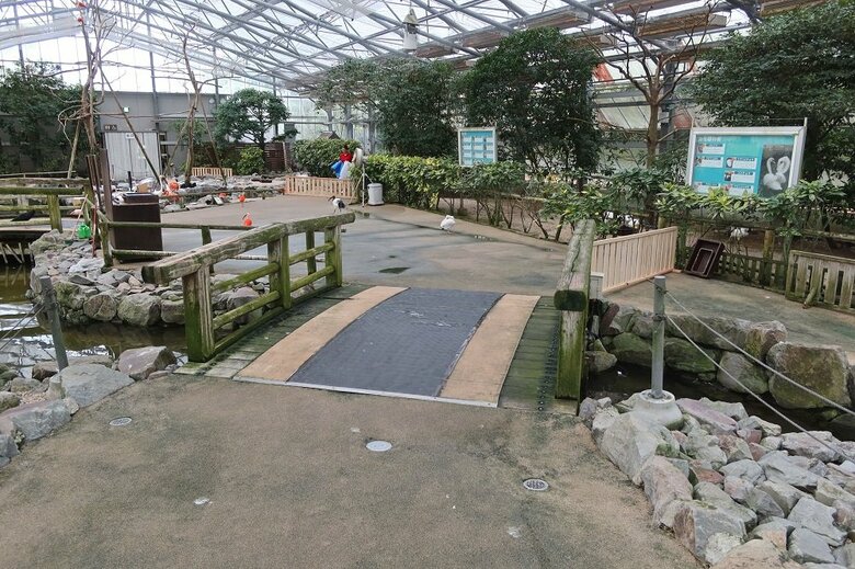 くつろいでいた橋（提供：松江フォーゲルパーク）