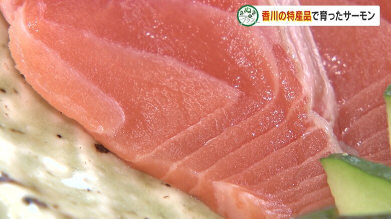 適度な脂がのったオリーブサーモン