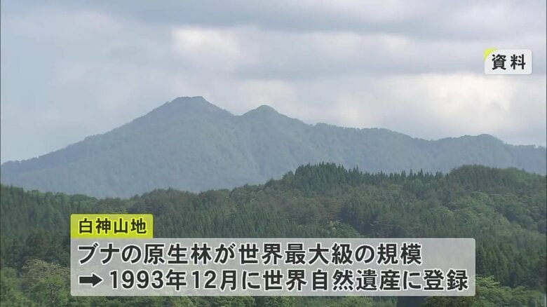 1993年に世界自然遺産に登録された白神山地