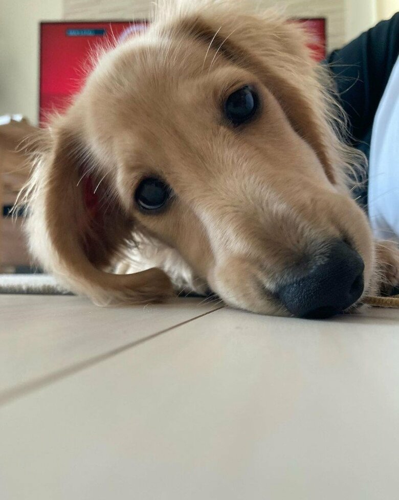 提供：___0516.wanさん