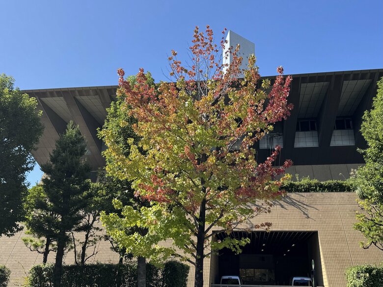 ▲【色づき度：30％】 15日／東京・江東区