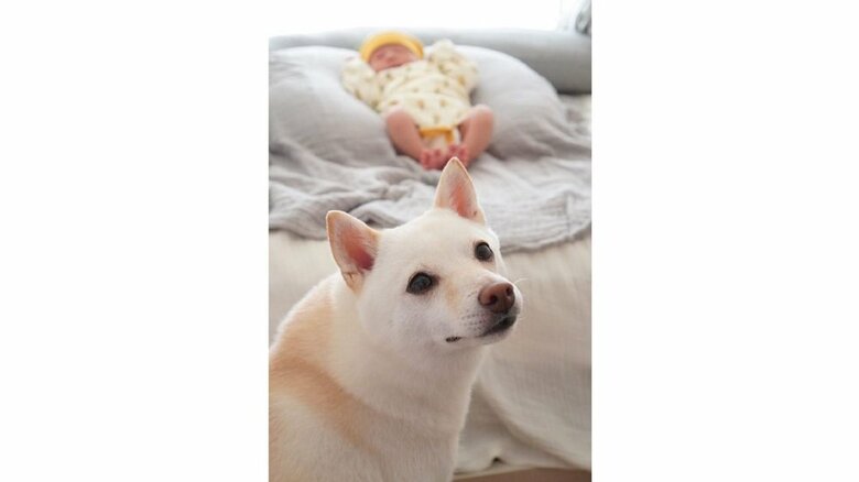 息子さんとまめたちゃん