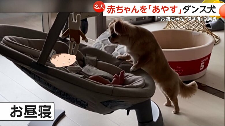 お昼寝の時、赤ちゃんをのぞき込みながらゆりかごを揺らすハナちゃん