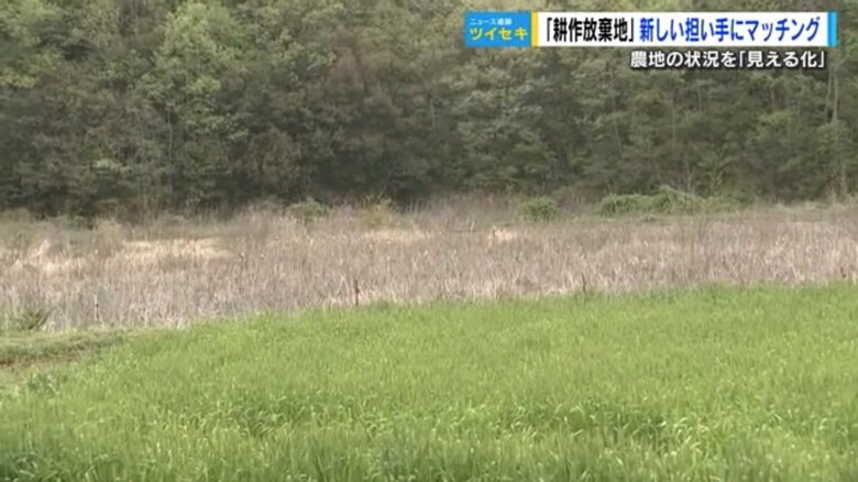 奥が耕作放棄地　広島県尾道市