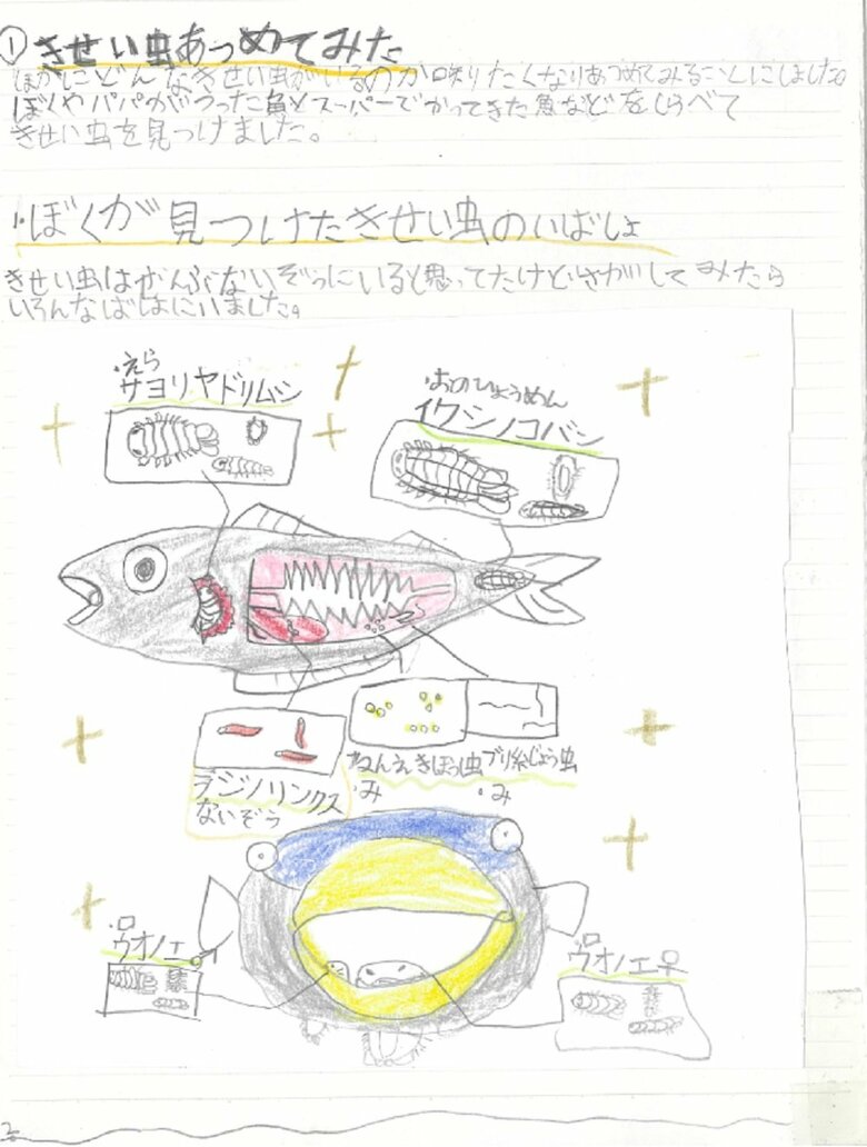 2ページ目（ぼくが見つけたきせい虫のいばしょ）