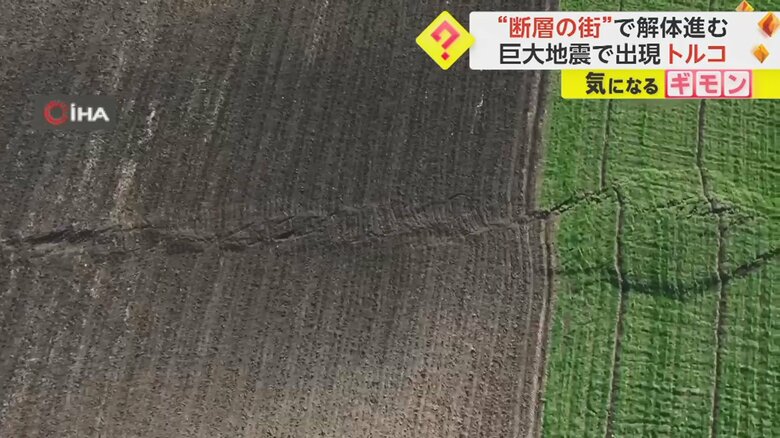 大地震によりできた大きな亀裂