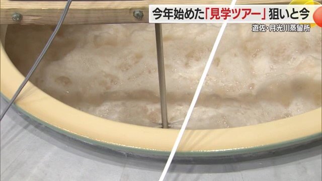 この日は、仕込んだ麦汁・もろみが発酵してぶくぶく泡状になっているのを見ることができた