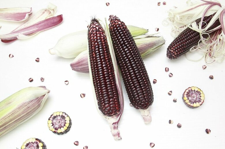 （提供：株式会社大和農園）