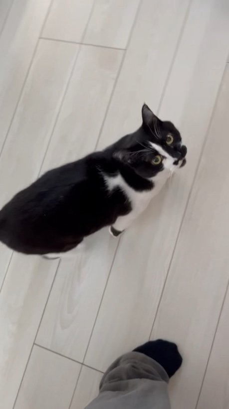 ちょっと来て…（提供：卵山玉子先生）