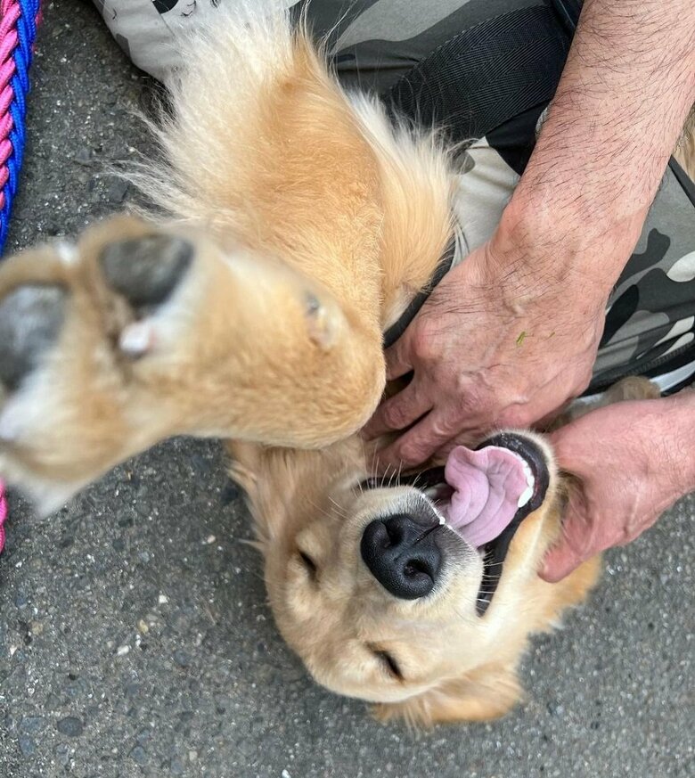 じいじのなでなで最高