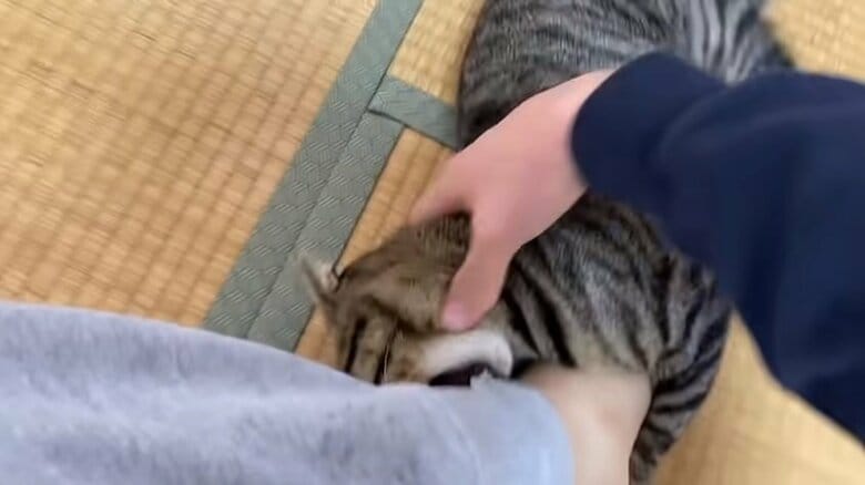 色んな角度からガブガブ