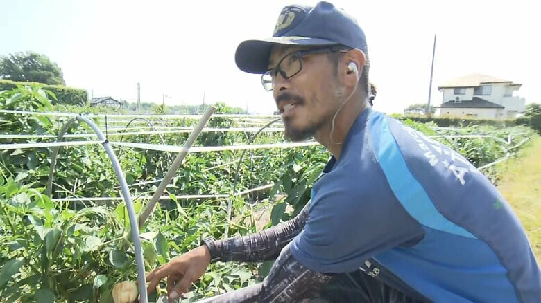 鈴木農園　鈴木 弘晃さん