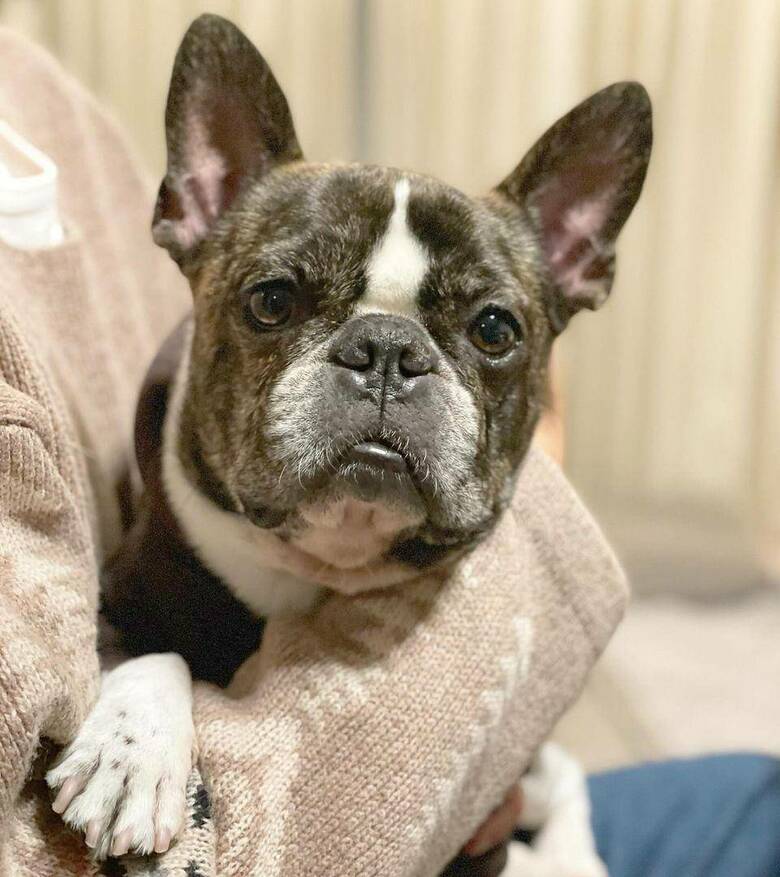 提供：丸男さん