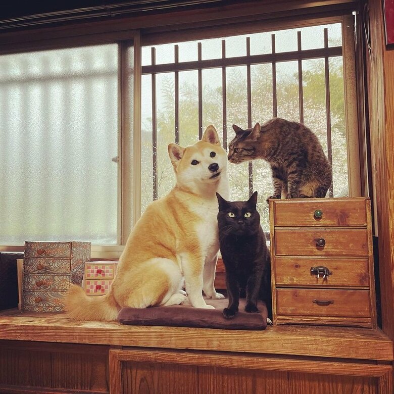 外は大雨だね…