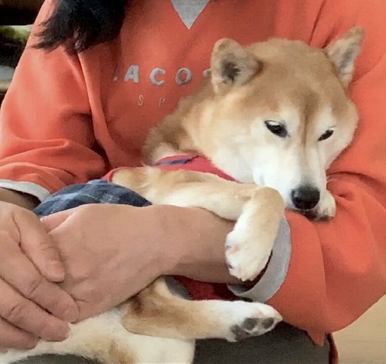 抱っこしてもらって恐怖を和らげる（地震の時の様子）