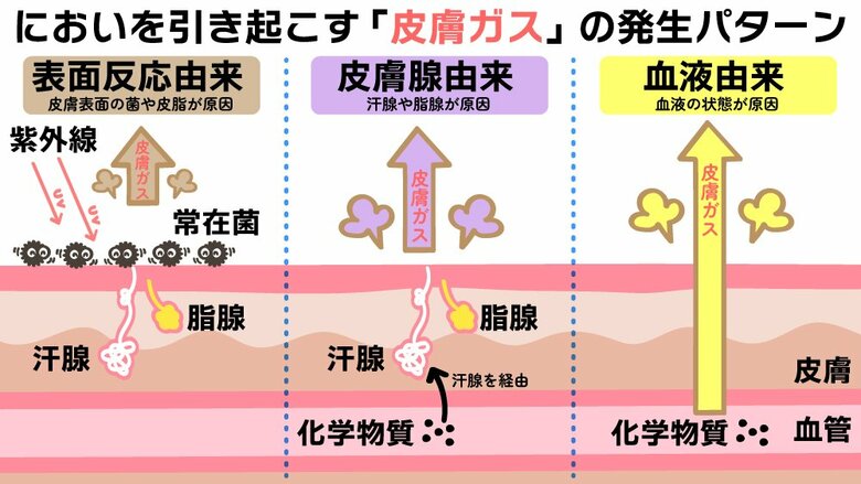 皮膚ガスの発生パターン（イラスト：さいとうひさし）