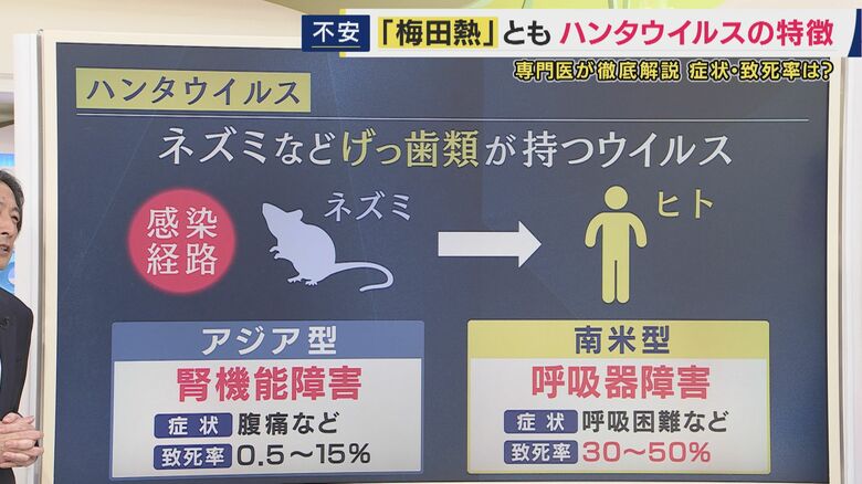 ウイルスは大きく"アジア型"と"南米型"に分かれる