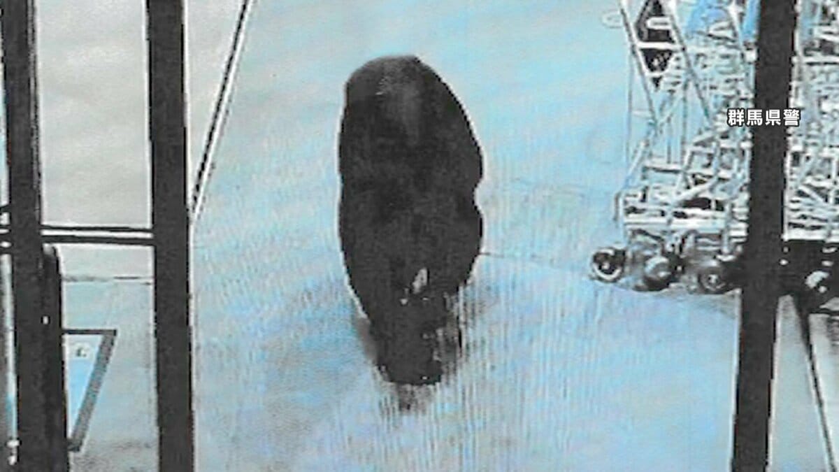 img_3a2c988f37f26ef16271e6b8e7