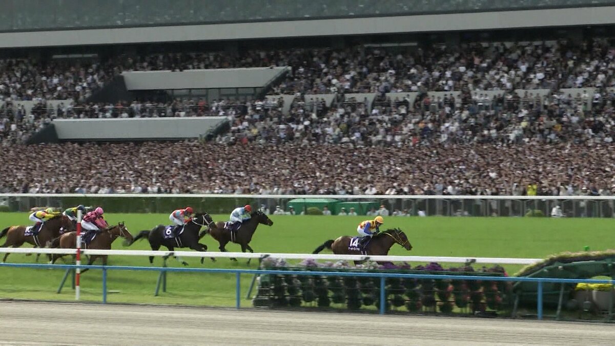 サトノダイヤモンド 新馬戦〜天皇賞・春２歳から４歳国内全９戦現地単勝 サトノダイヤモンド 新馬戦〜天皇賞・春 2歳から4歳国内全