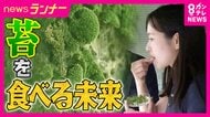 「薬の代わりにコケを食べる未来」も　食用コケ「鉄分ホウレンソウの25倍」　フィルター化で「化学薬品に代わって工業排水処理に活用も」　約5億年前から存在する「コケ」の秘めたる力