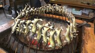 1日600匹も売れる…道の駅で供される「鮎の塩焼き」　1時間かける焼き方の“秘訣”は【岐阜発】